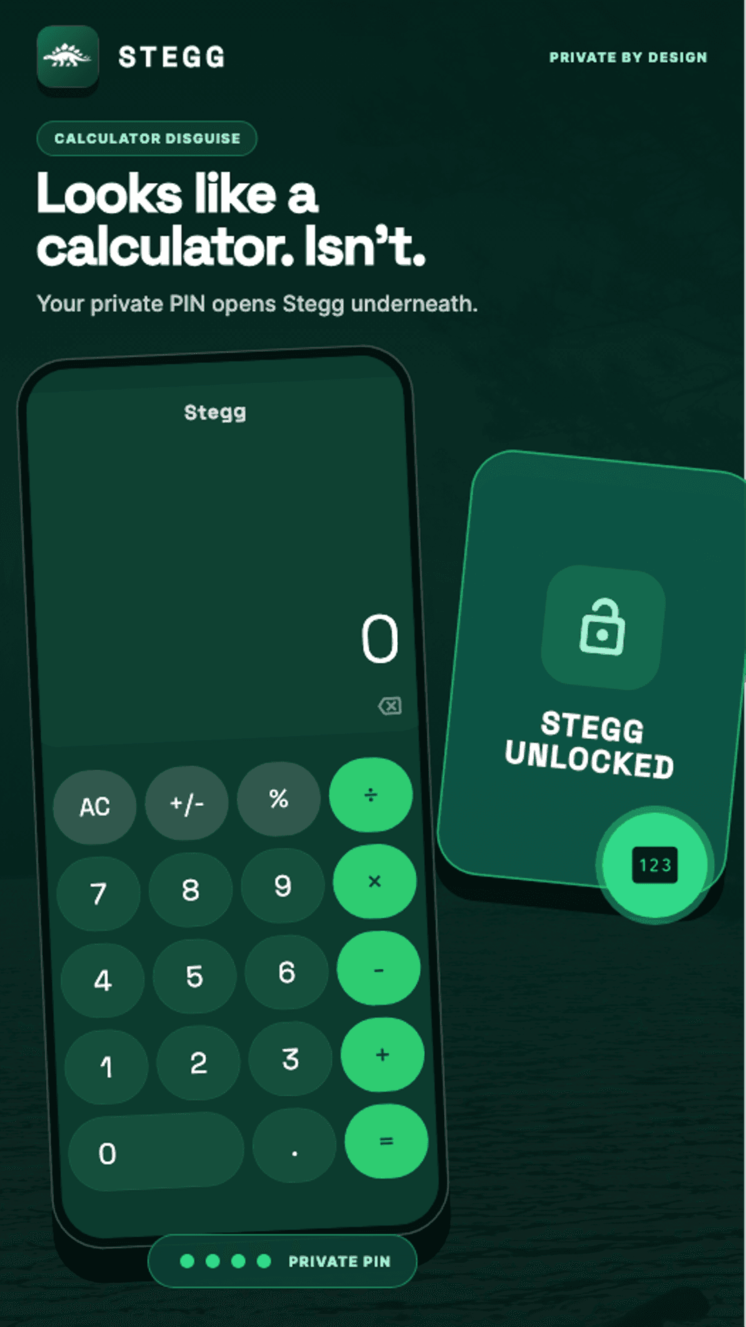 Stegg Pro calculator disguise